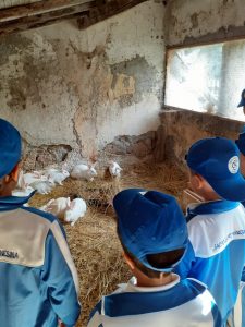 IMG-20191016-WA0007-225x300 Gita scolastica alla Fattoria Didattica Agrihouse di Bracciano